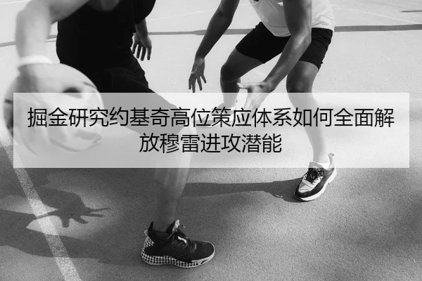 掘金研究约基奇高位策应体系如何全面解放穆雷进攻潜能